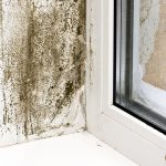 Las humedades son las causantes del 25% de las patologías que sufren los edificios