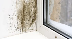 Lee más sobre el artículo Las humedades son las causantes del 25% de las patologías que sufren los edificios